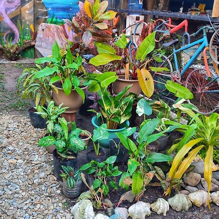Castaway Native Huts San Vicente (Palawan) Exterior foto